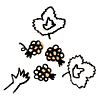 野イチゴ摘み