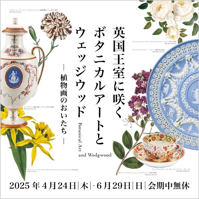 ボタニカル展画像