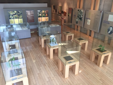 越知町立横倉山自然の森博物館
