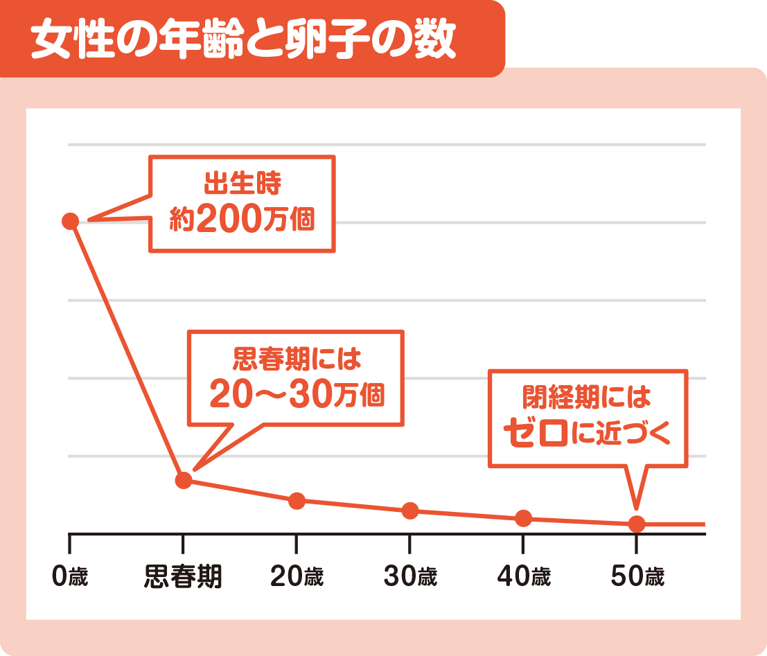 女性の年齢と卵子の数